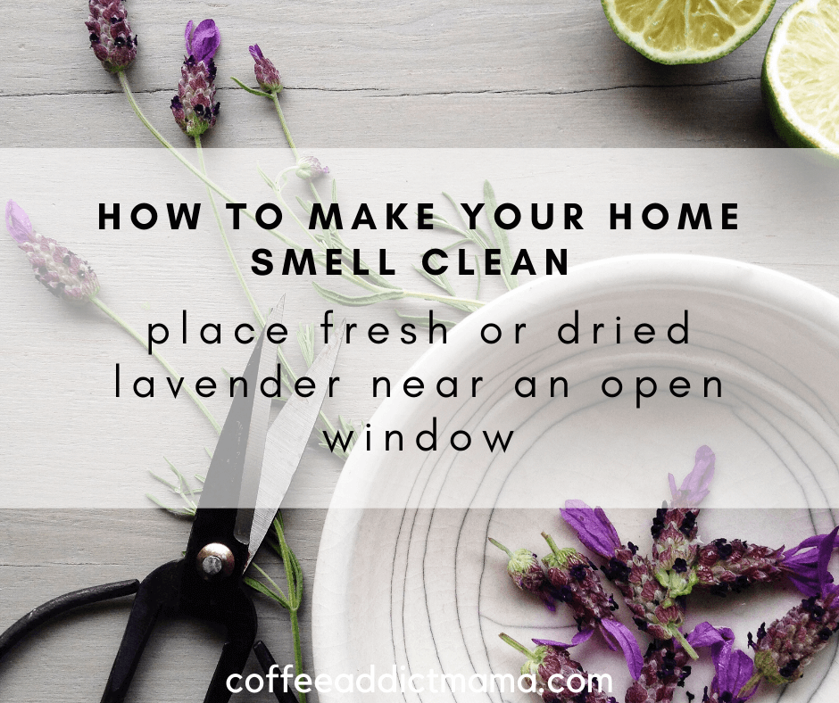 natural air fresheners