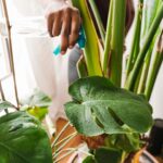 6 Ways To Make Your Homes Smell Fresh & Clean