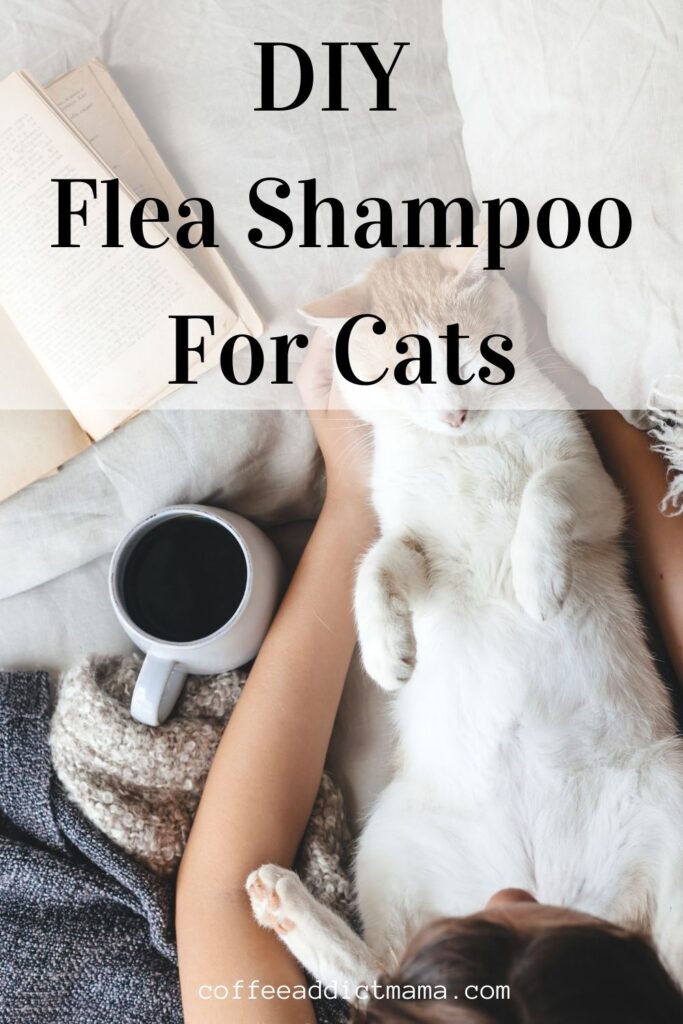 DIY Flea Shampoo For Cats