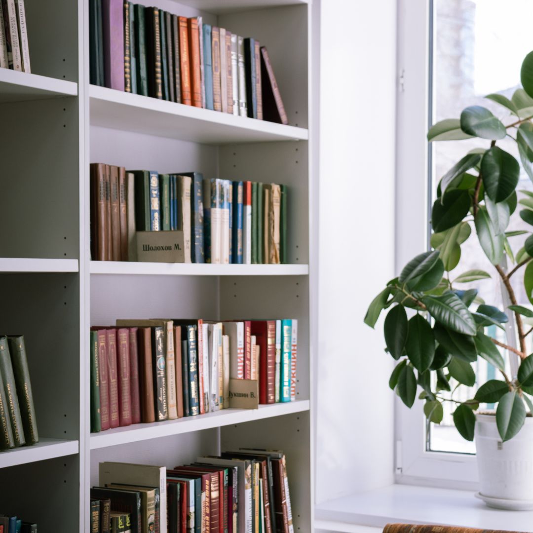 Indoor Plants 101 – a guide to thriving plant life