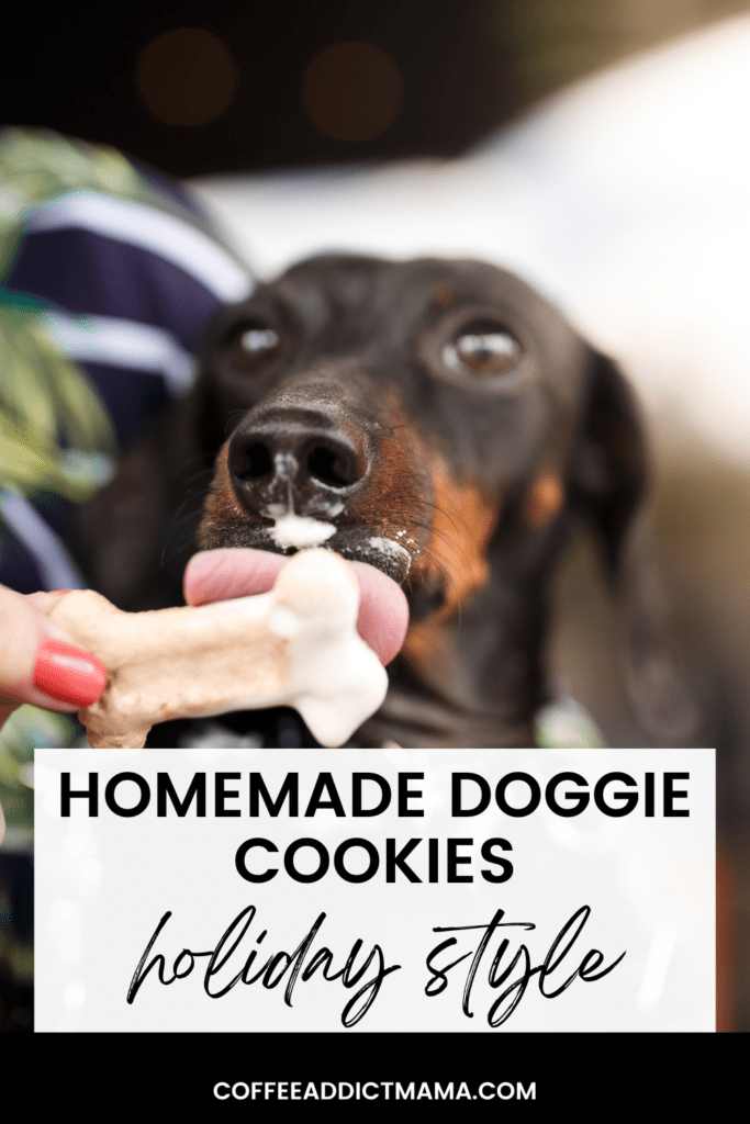 homemade dog treats