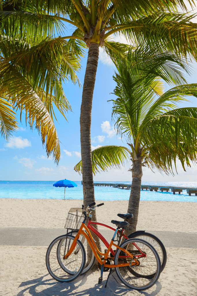 Two bikes sitting up against palm trees on sandy beach